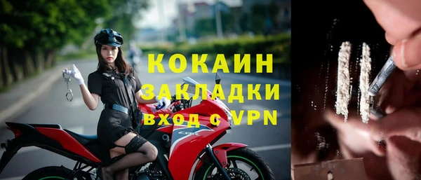 стафф Сосновый Бор