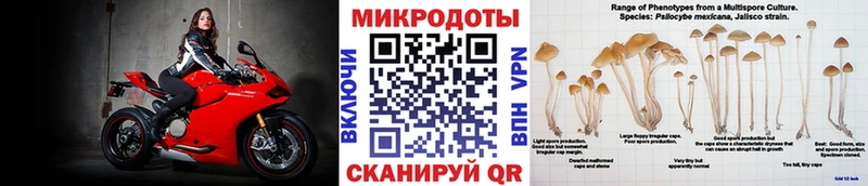Псилоцибиновые грибы Cubensis  Верхний Уфалей 